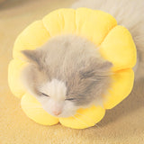 Cute Sunflower Neck Cone Recovery Collar