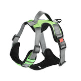Hand Holding Dog Chest Strap Vest Rope