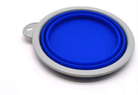 Multifunctional Automatic Retractable Pet Leash