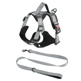 Hand Holding Dog Chest Strap Vest Rope