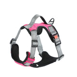 Hand Holding Dog Chest Strap Vest Rope