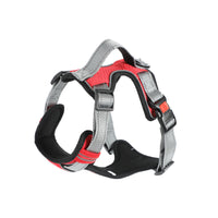 Hand Holding Dog Chest Strap Vest Rope