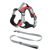 Hand Holding Dog Chest Strap Vest Rope