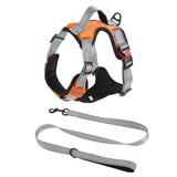 Hand Holding Dog Chest Strap Vest Rope