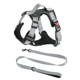 Hand Holding Dog Chest Strap Vest Rope