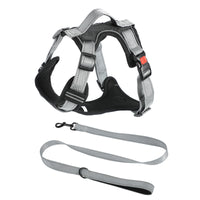 Hand Holding Dog Chest Strap Vest Rope