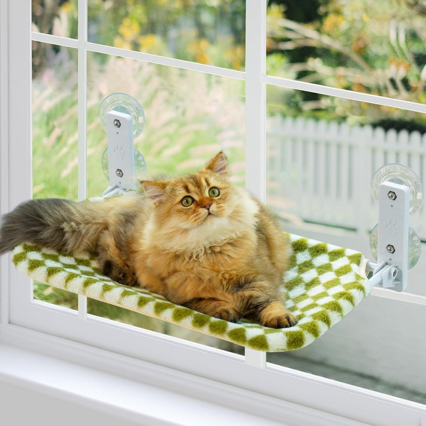 Pet Cat Glass Balcony Hammock Nest