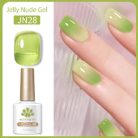 Nail Polish Transparent Color UV Polish Jelly Phototherapy Plastic