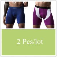 2pcs/Lot underpants leg up long boxer shorts man underwear panties for men pouch male trunks mesh calzoncillo hombre sexy boxers