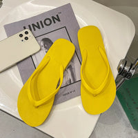 Indoor Summer Flip Flops Slipper