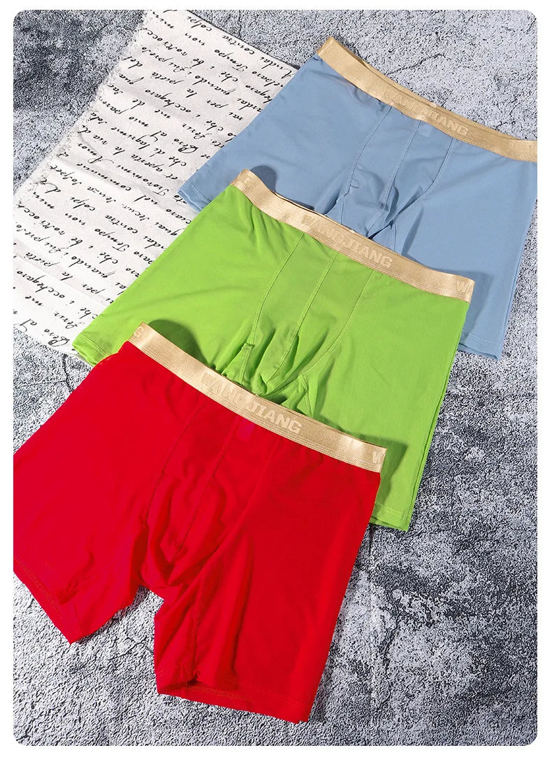 Men Ice Silk Sexy Underwear Long Leg Boxer Shorts Sports Breathable Mesh Thin Underpants Bulge Pouch Boxershorts Men See Through