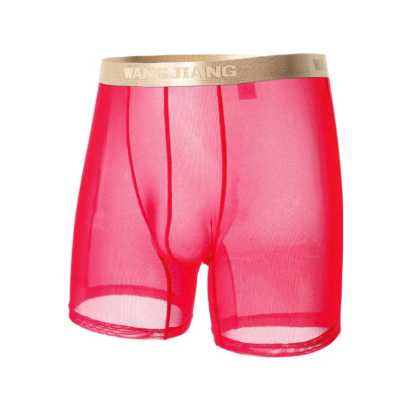 Men Ice Silk Sexy Underwear Long Leg Boxer Shorts Sports Breathable Mesh Thin Underpants Bulge Pouch Boxershorts Men See Through