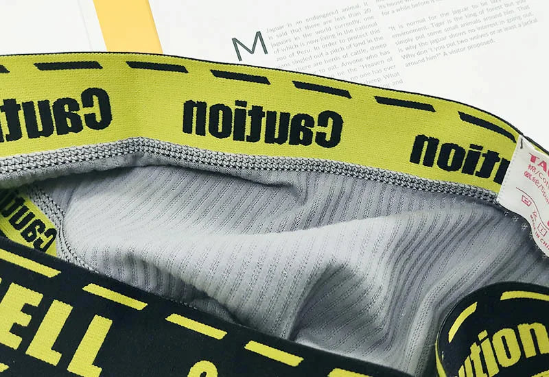 Boxers For Men  Underpants Mens Underwear Briefs Boxerhomme anime panties