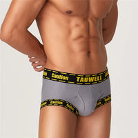 Boxers For Men  Underpants Mens Underwear Briefs Boxerhomme anime panties