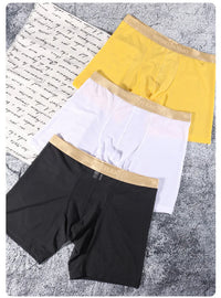 Men Ice Silk Sexy Underwear Long Leg Boxer Shorts Sports Breathable Mesh Thin Underpants Bulge Pouch Boxershorts Men See Through