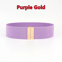 Fashion Women Elastic Band Wide Belts Simple Down Coat Waist Belt Female Buckle Black Strap Dress Decoration Accessories Ladies