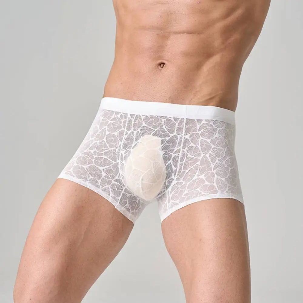 Fashion Underpants Men Boxer Briefs Ice Silk Mesh Thin Lace Shorts Boxers Breathable Summer Underwear for Men Men