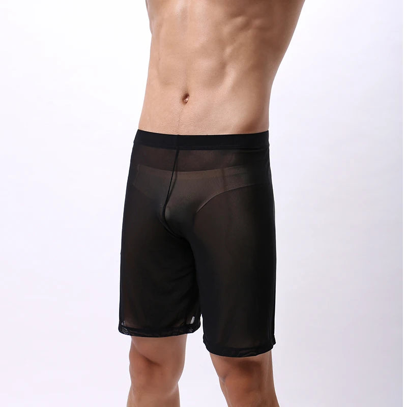 Mens Boxer Shorts Long Leg Breathable Sheer Mesh Trunks Sports Training Quick-drying Boxers SeeThrough Bottoms Sportswear