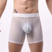 Fashion Ice Silk Underwear Long Leg Boxer Shorts For Man EUR Size Summer Thin Quick Dry Panties Lace Sexy Lengthen Underpants