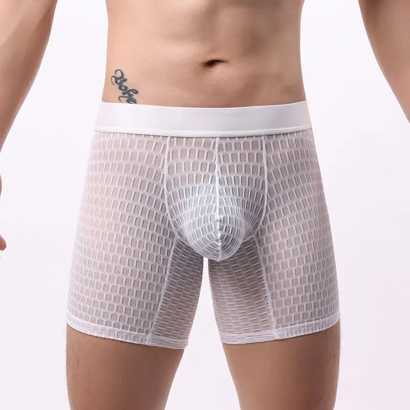 Fashion Ice Silk Underwear Long Leg Boxer Shorts For Man EUR Size Summer Thin Quick Dry Panties Lace Sexy Lengthen Underpants