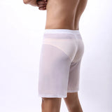 Mens Boxer Shorts Long Leg Breathable Sheer Mesh Trunks Sports Training Quick-drying Boxers SeeThrough Bottoms Sportswear