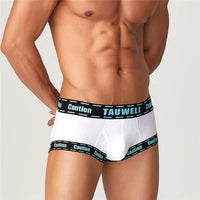 Boxers For Men  Underpants Mens Underwear Briefs Boxerhomme anime panties