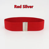 Fashion Women Elastic Band Wide Belts Simple Down Coat Waist Belt Female Buckle Black Strap Dress Decoration Accessories Ladies