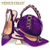 Pointed Toe High Heels Shoes and Bags Set