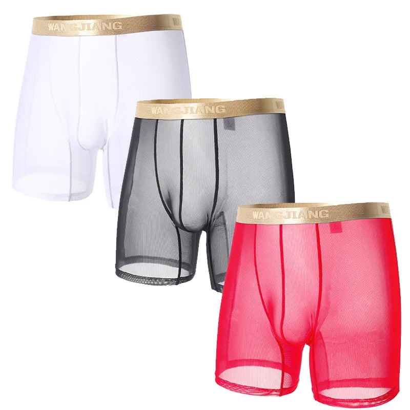 Men Ice Silk Sexy Underwear Long Leg Boxer Shorts Sports Breathable Mesh Thin Underpants Bulge Pouch Boxershorts Men See Through