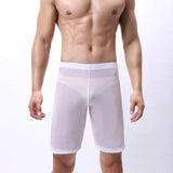Mens Boxer Shorts Long Leg Breathable Sheer Mesh Trunks Sports Training Quick-drying Boxers SeeThrough Bottoms Sportswear