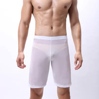 Mens Boxer Shorts Long Leg Breathable Sheer Mesh Trunks Sports Training Quick-drying Boxers SeeThrough Bottoms Sportswear
