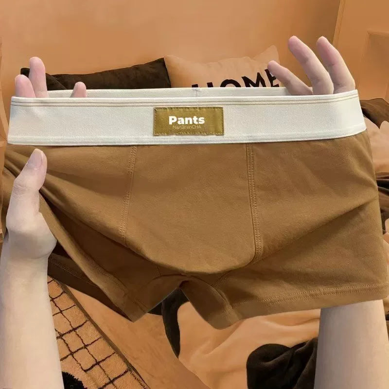 4 pcs Men Underwear Cotton Boxer