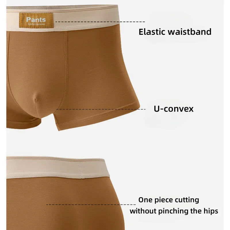 4 pcs Men Underwear Cotton Boxer