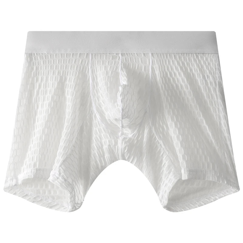 Fashion Ice Silk Underwear Long Leg Boxer Shorts For Man EUR Size Summer Thin Quick Dry Panties Lace Sexy Lengthen Underpants