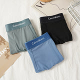 Men Underwear BoxerShorts Hombre Panties Man Breathable Underpants Sexy Sports Comfort Male Boxers
