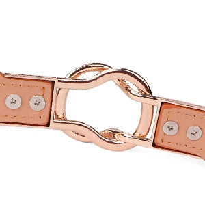 Women Skinny Belt for Dresses Ladies Fashion Elastic Belts Waist Band Cinch Waistband