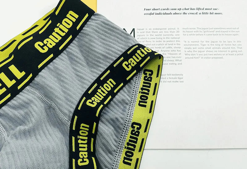 Boxers For Men  Underpants Mens Underwear Briefs Boxerhomme anime panties