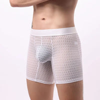 Fashion Ice Silk Underwear Long Leg Boxer Shorts For Man EUR Size Summer Thin Quick Dry Panties Lace Sexy Lengthen Underpants