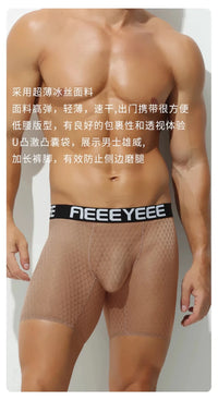 Men's Panties Extended Boxers Sexy Briefs Ultra-Thin Ice Silk Undrewear Seamless Quick-Dry Breathable Fitness Anti-Chafing Legs