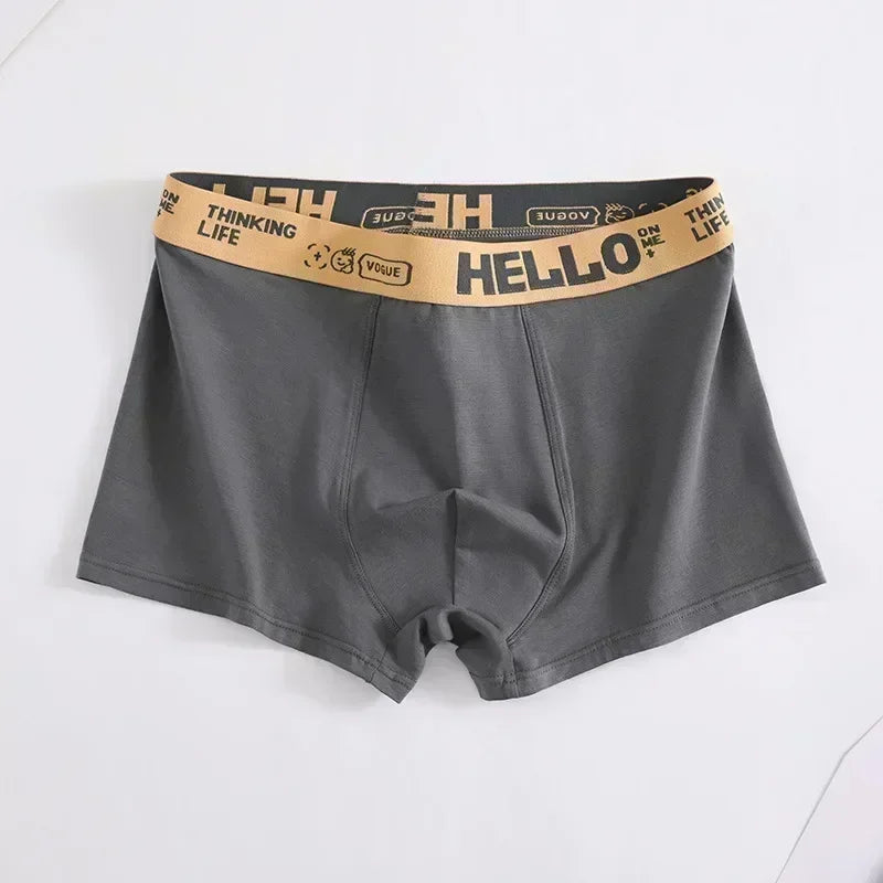 Men's Underwear Boxers Summer Soft Comfortable Breathable Sports Shorts Boxer Underpants Soft Comfortable Male Panties
