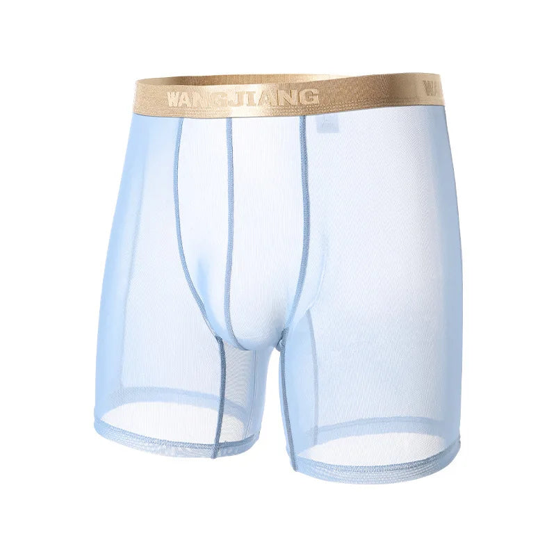 Men Ice Silk Sexy Underwear Long Leg Boxer Shorts Sports Breathable Mesh Thin Underpants Bulge Pouch Boxershorts Men See Through