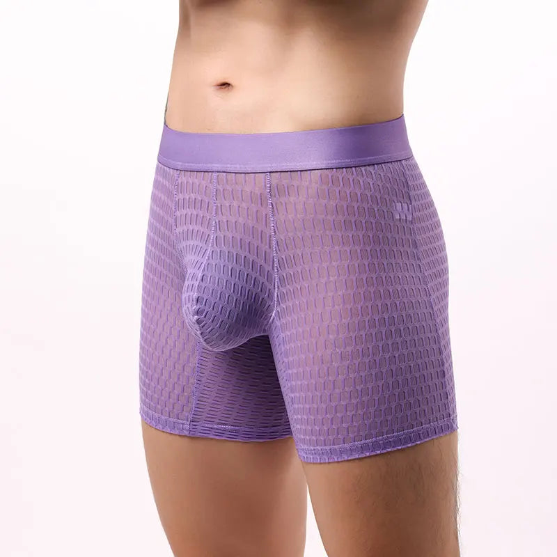 Fashion Ice Silk Underwear Long Leg Boxer Shorts For Man EUR Size Summer Thin Quick Dry Panties Lace Sexy Lengthen Underpants