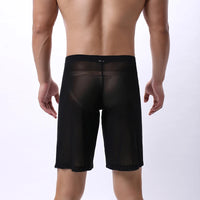 Mens Boxer Shorts Long Leg Breathable Sheer Mesh Trunks Sports Training Quick-drying Boxers SeeThrough Bottoms Sportswear