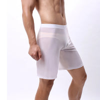 Mens Boxer Shorts Long Leg Breathable Sheer Mesh Trunks Sports Training Quick-drying Boxers SeeThrough Bottoms Sportswear