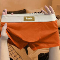 4 pcs Men Underwear Cotton Boxer