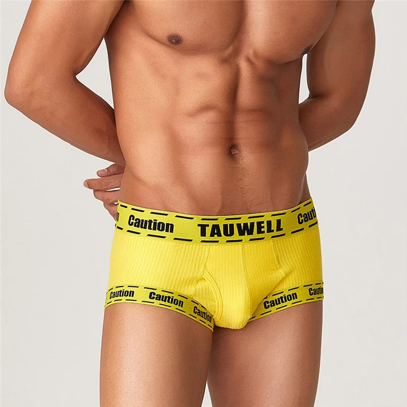 Boxers For Men  Underpants Mens Underwear Briefs Boxerhomme anime panties