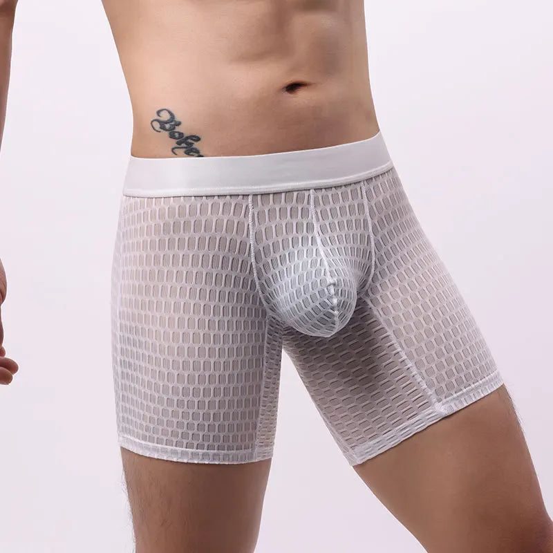 Fashion Ice Silk Underwear Long Leg Boxer Shorts For Man EUR Size Summer Thin Quick Dry Panties Lace Sexy Lengthen Underpants