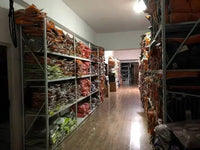 Autumn and winter Sweatpants