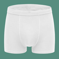 1pc/3pcs Set Men's Underwear Cotton Boxers Shorts U Pouch Panties Boy's Underpants Male Youth Clothing Homme Luxury Underware