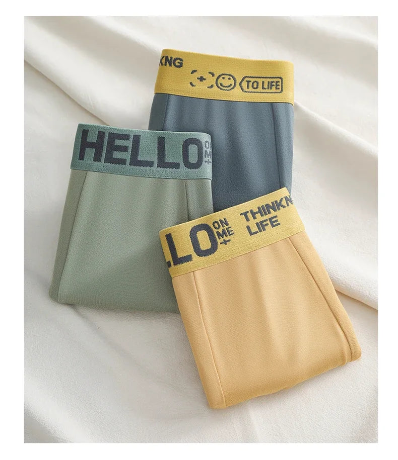 Underpants Boxers Man Boxer Underwear for Men Mens Sexy Underwear Men's Boxer Briefs Panties Shorts Male Undrewear Underwears